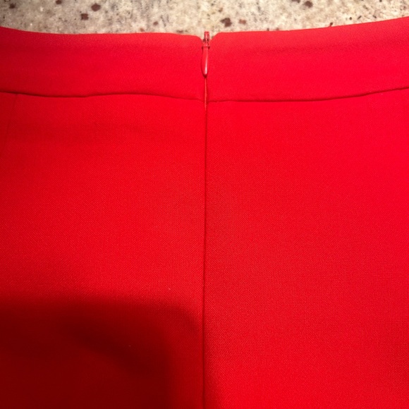 Red Zara Skirt - Picture 5 of 9